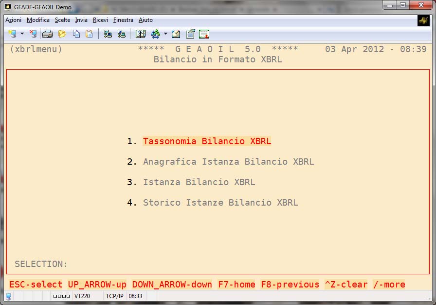 Schema bilancio formato cee